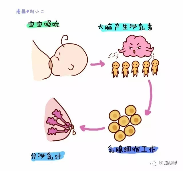 寶寶一哭就喂奶？