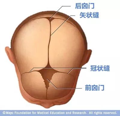 寶寶的囟門很重要，出現(xiàn)這3種異常要當心！